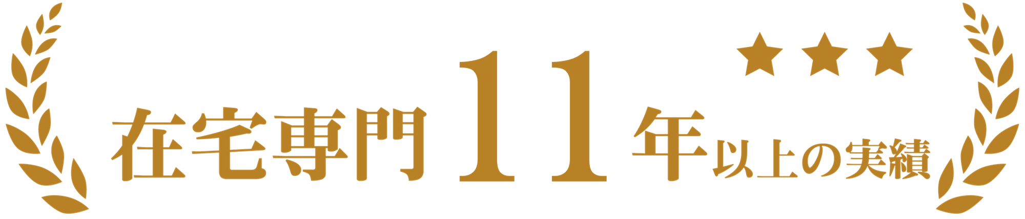 在宅専門１１年以上の実績